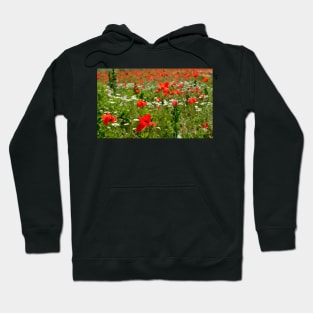 Poppy Field Near Cividale Hoodie